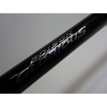 １７ポイズングロリアス ’１６８ＭＬ－ＬＭ